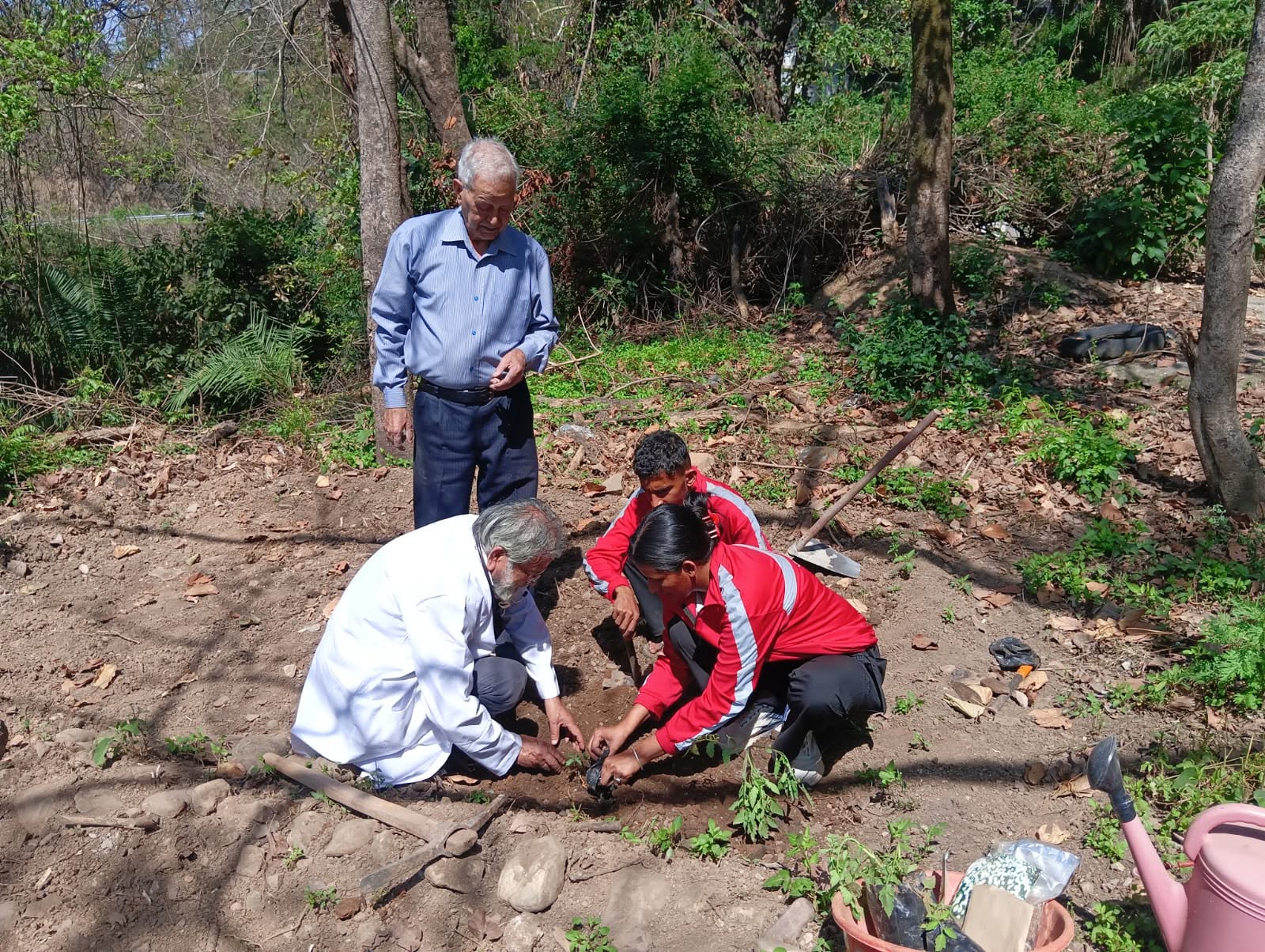 Volunteers and community members planting a sapling outdoors